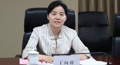 廣西副主席丁向群，調(diào)任安徽省委常委、組織部部長，曾任國開行副行長(丁向群簡歷)