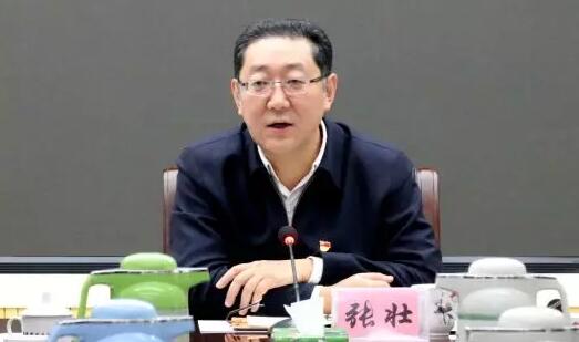 張壯簡歷：柳州市委副書記、市長張壯，曾任玉林市委副書記，貴港市委常委、常務副市長